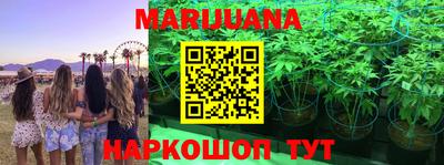 гидра Малгобек