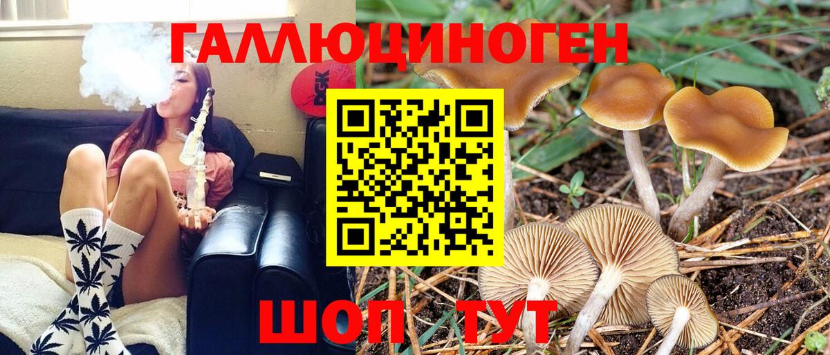 Тара  Галлюциногенные грибы ЛСД  Псилоцибиновые грибы Psilocybine cubensis  цены наркотик  Вход с VPN 