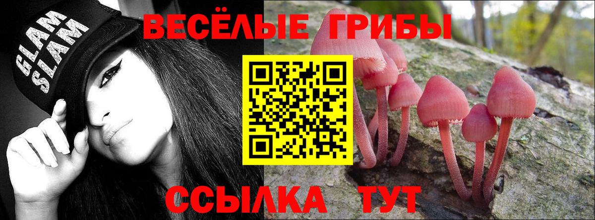 Псилоцибиновые грибы мухоморы Тара